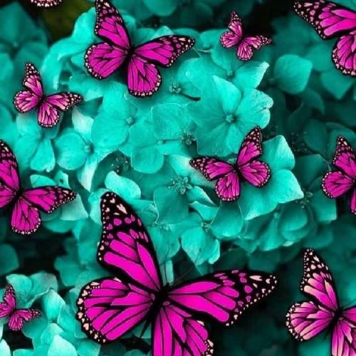  قلبم شده پیلیش پیلیش ترند اینستایی